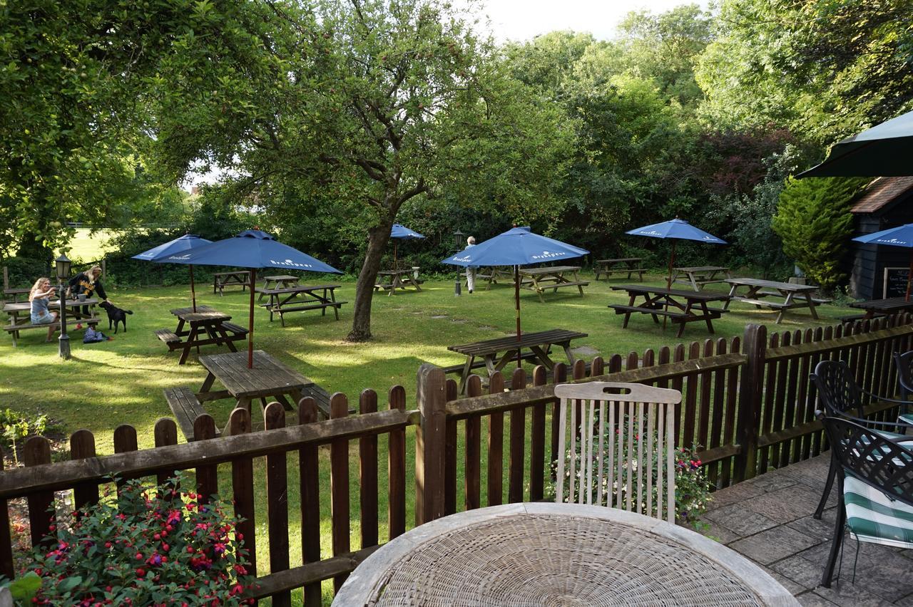 The Red Lion Pub & Kitchen Bed and Breakfast Didcot Eksteriør billede